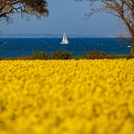 Rooftop Garden 1 - 4 Im Ostseeresort Apartment Olpenitz